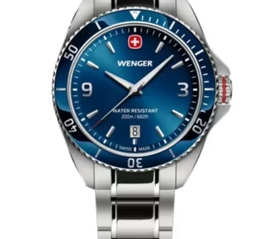 Reloj Wenger Executive 01.2031.103 1