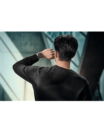 Reloj Wenger Executive 01.2031.101