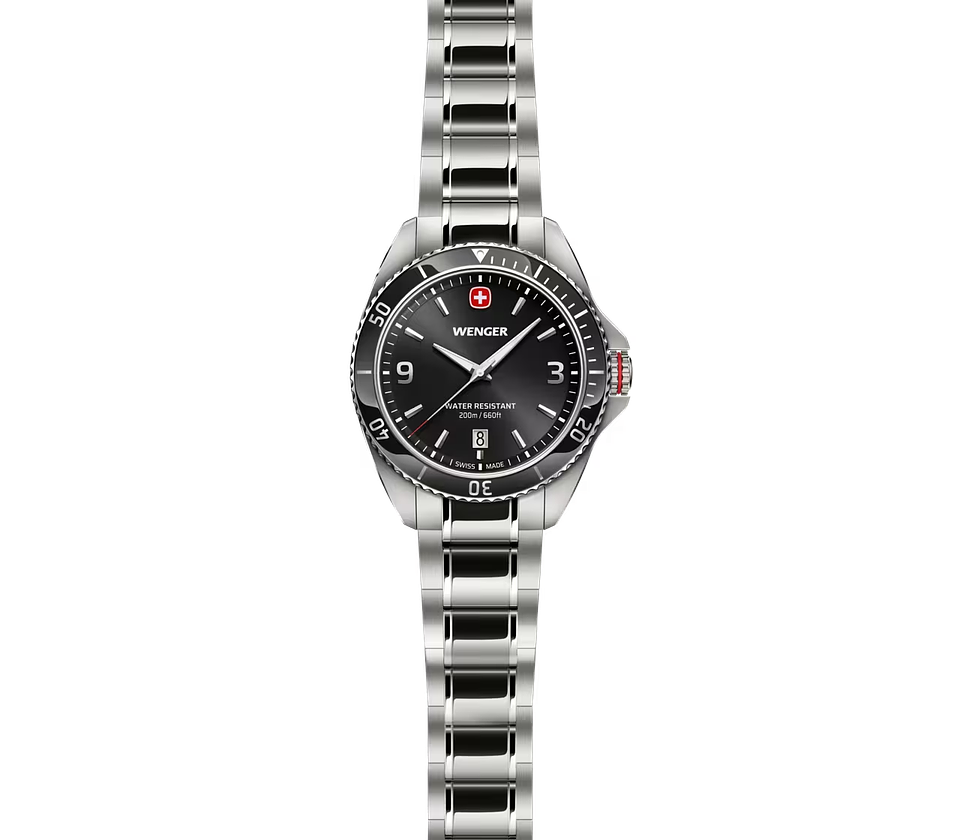 Reloj Wenger Executive 01.2031.101 3