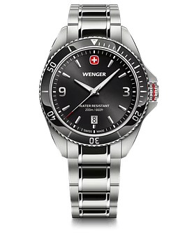 Reloj Wenger Executive 01.2031.101