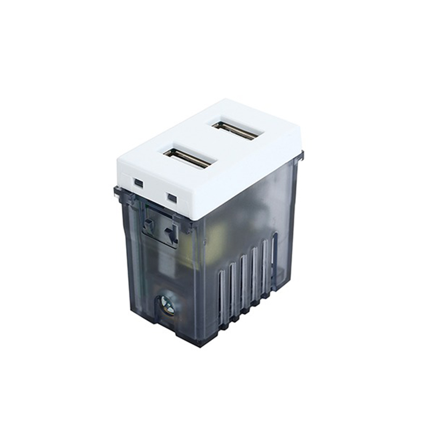 Modulo Toma Usb Doble 100-240v 5v Stanford  1