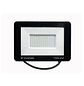 Foco Proyector Led 100 Watts Exterior (frío) S.e.c Stanford - Miniatura 1