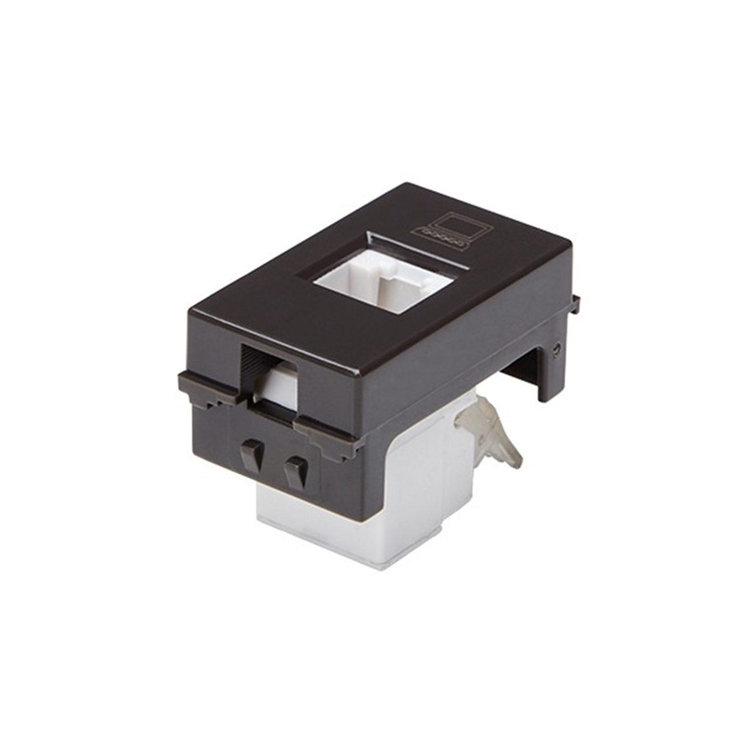 Modulo Toma Red Computacion Rj45/6E (Café) 1