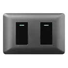 Interruptor Doble Gris 10a 220v Want Certificados Sec