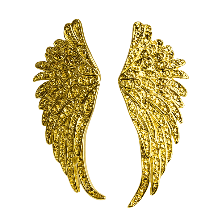 Aros Alas Maestras Enchapados en Oro 1