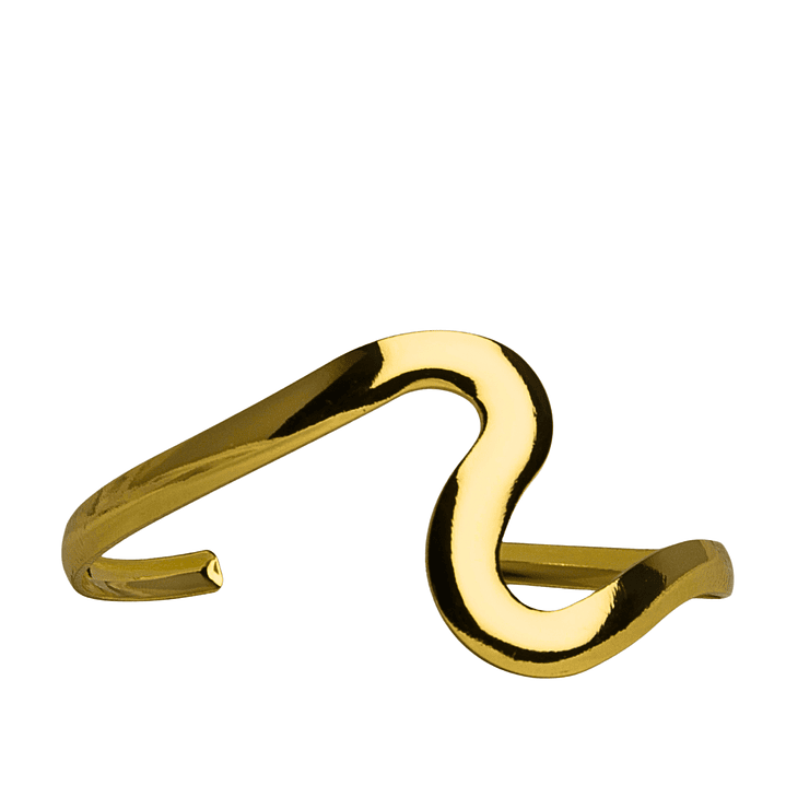 Brazalete anelido enchapado en oro 1