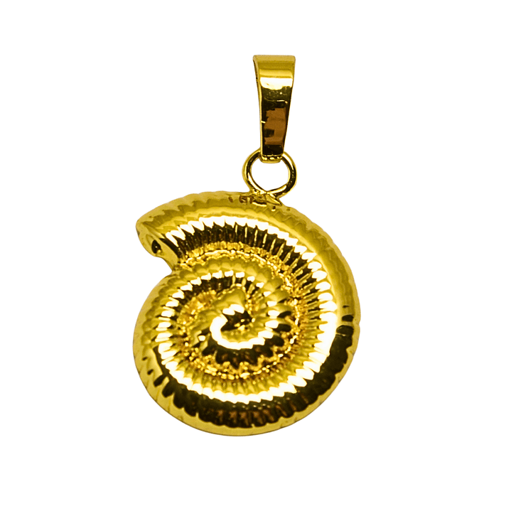 Colgante Amonite Enchapado en oro 1