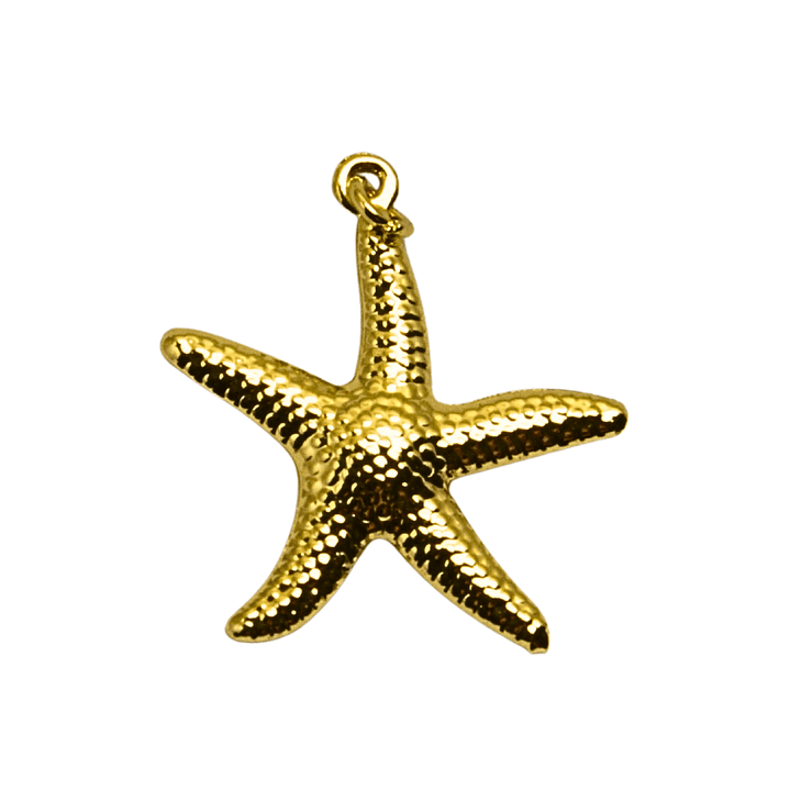 Colgante Estrella de Mar Enchapado en oro 1