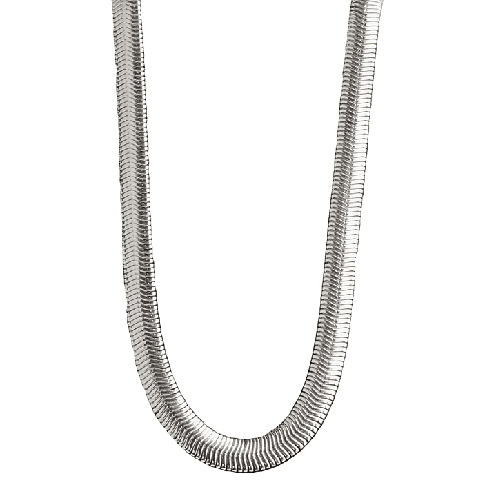 Collar planaria enchapado en plata 1
