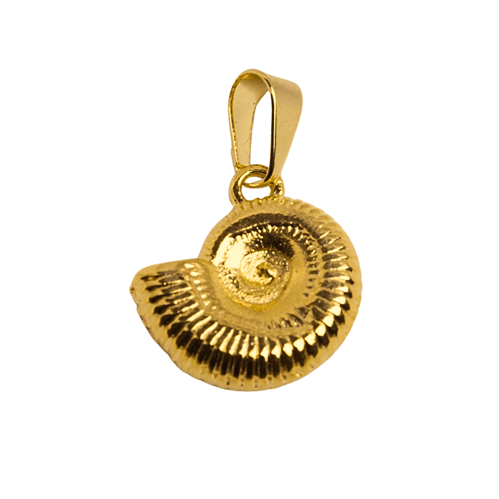 Colgante Amonite inverso Enchapado en oro 1