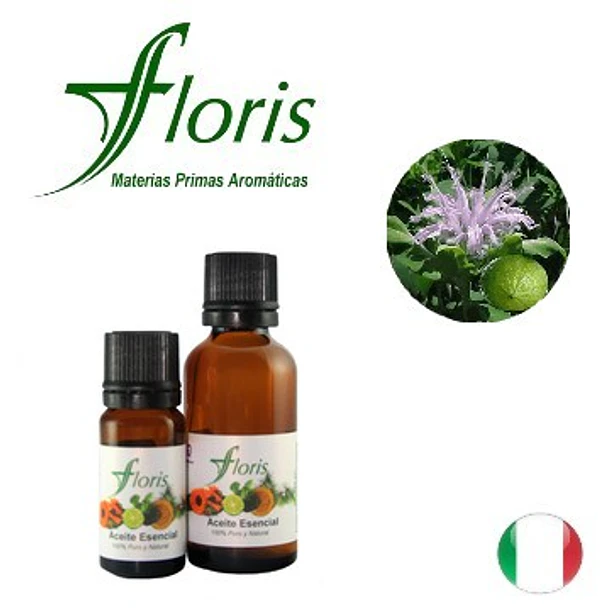 ​BERGAMOTA - Citrus aurantium spp.bergamia