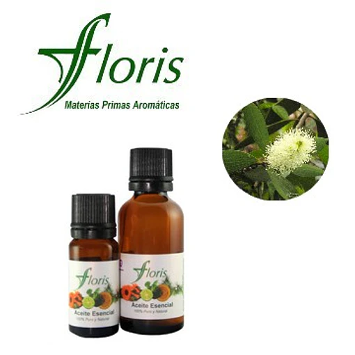 CAJEPUT - Melaleuca cajuputi