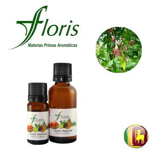 ​CANELA DE CEILAN - Cinnamomum zeylanicum (Hoja)