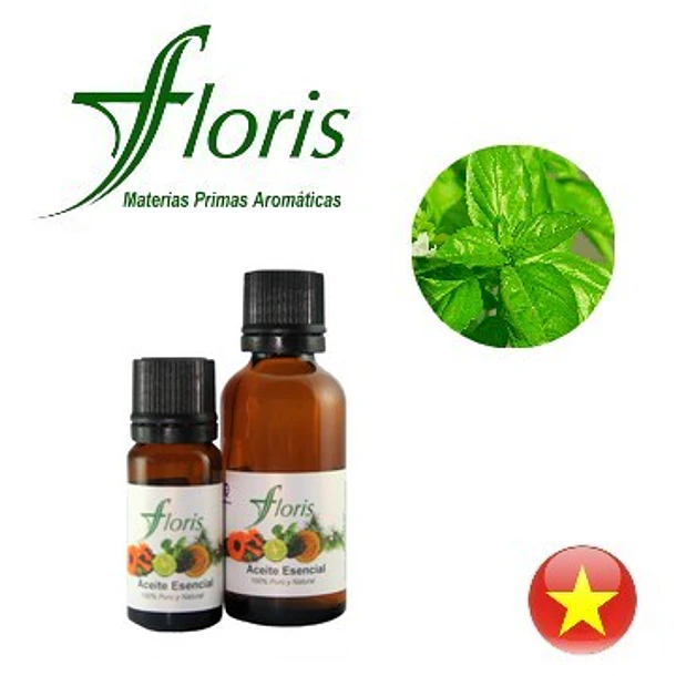 ALBAHACA TROPICAL - Ocimum basilicum