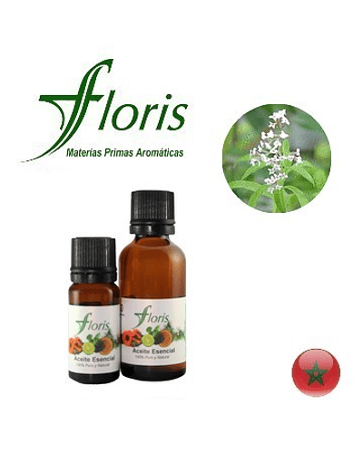 ​HIERBA LUISA - Lippia citriodora