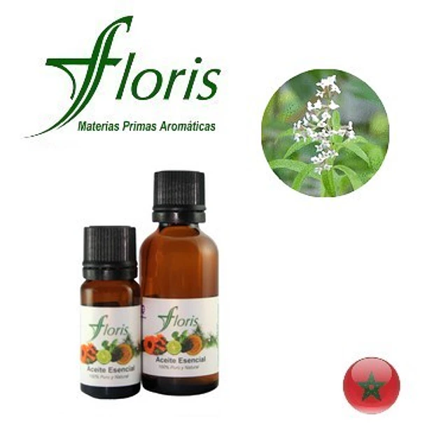​HIERBA LUISA - Lippia citriodora