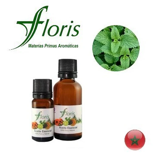MELISA PURA - Melissa officinalis