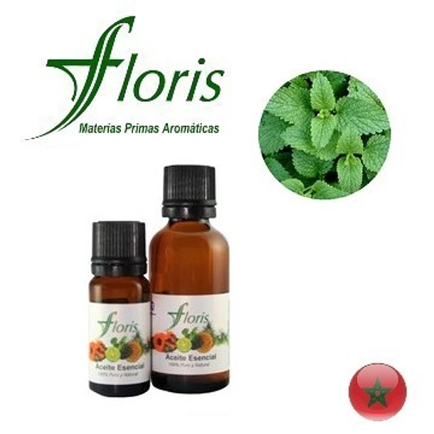 MELISA PURA - Melissa officinalis