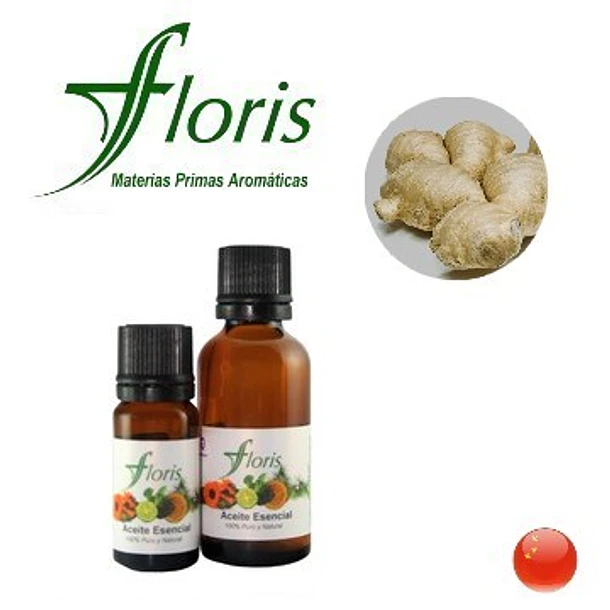 ​JENGIBRE - Zingiber officinale