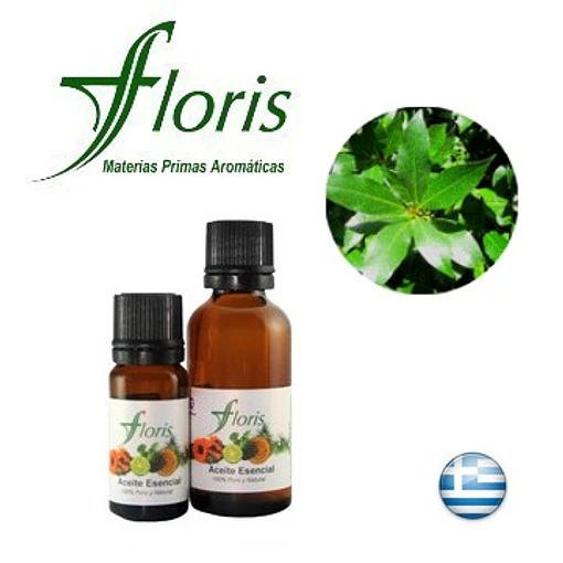 ​LAUREL NOBLE - Laurus nobilis