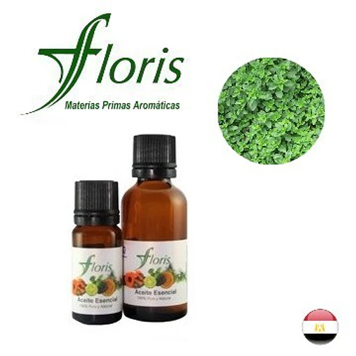 ​MEJORANA - Origanum marjorana
