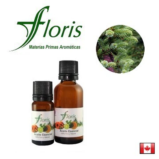 ​PICEA NEGRA - Picea mariana