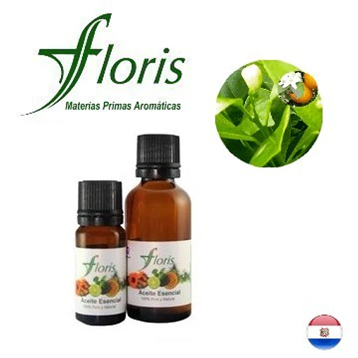 PETIT GRAIN BIGARADE - Citrus aurantium ssp. aurantium