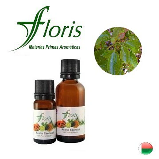 ​RAVINTSARA - Cinnamomum camphora