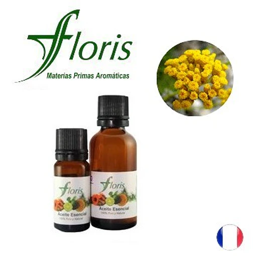 SIEMPREVIVA - Helichrysum italicum 