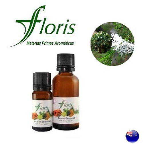 ​TEA TREE / ARBOL del TE- Melaleuca alternifolia