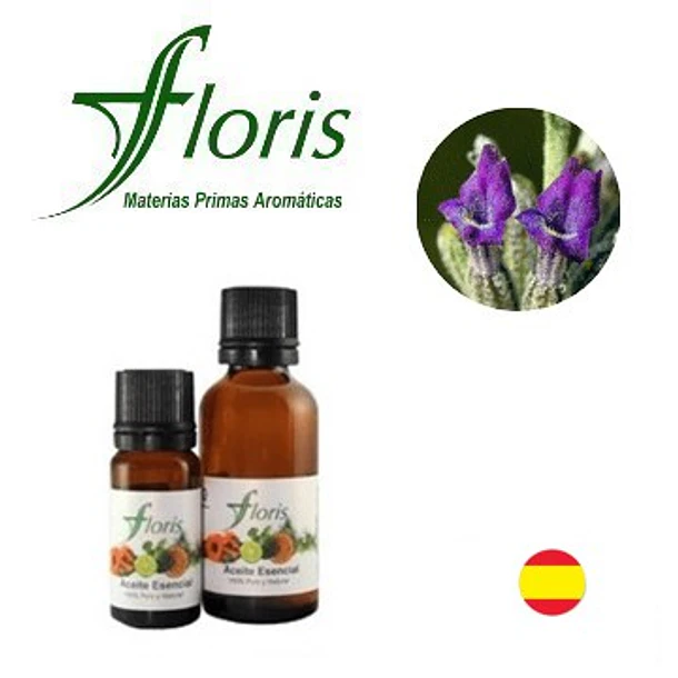 LAVANDA ESPLIEGO MACHO - Lavandula latifolia spica