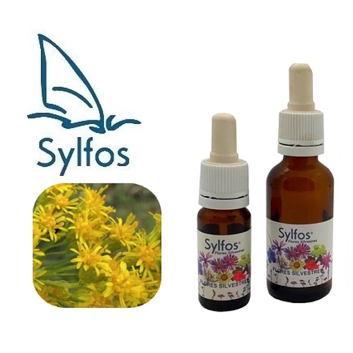 VARA DE ORO / Goldenrod