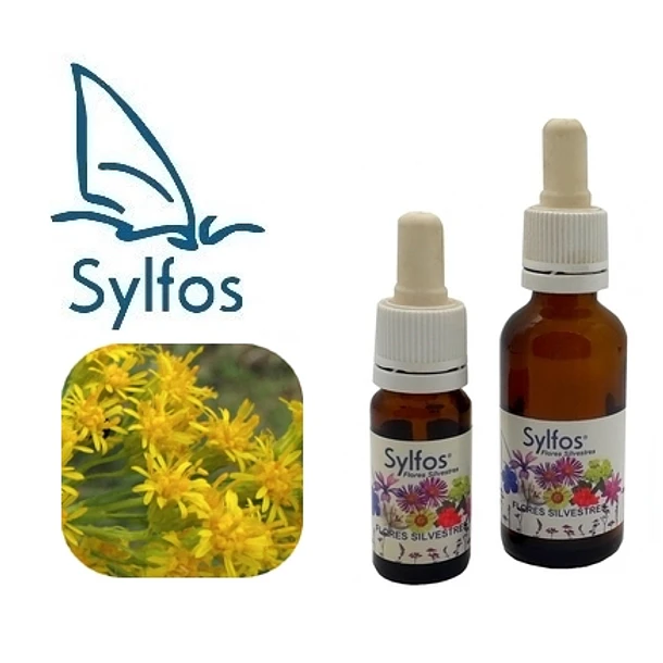 VARA DE ORO / Goldenrod