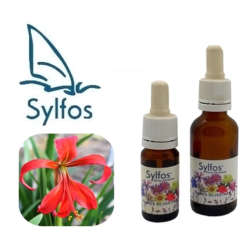 FLOR DE LIS / Aztec Lily ﻿