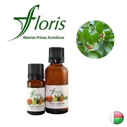 SARO / MANDRAVASAROTRA - Cinnamosma fragans 