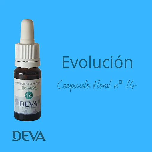 Nº 14 - Evolución