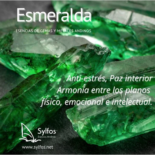 ESMERALDA (17)