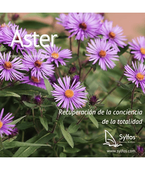 ASTER