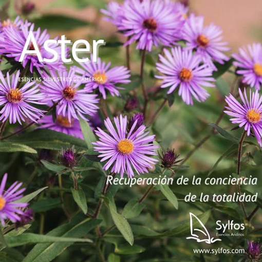 ASTER