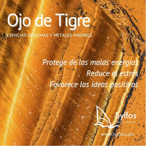 OJO DE TIGRE (45)