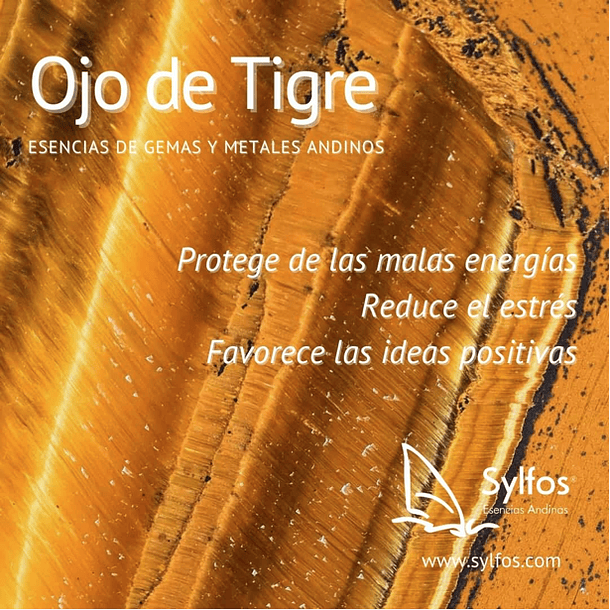 OJO DE TIGRE (45) 1