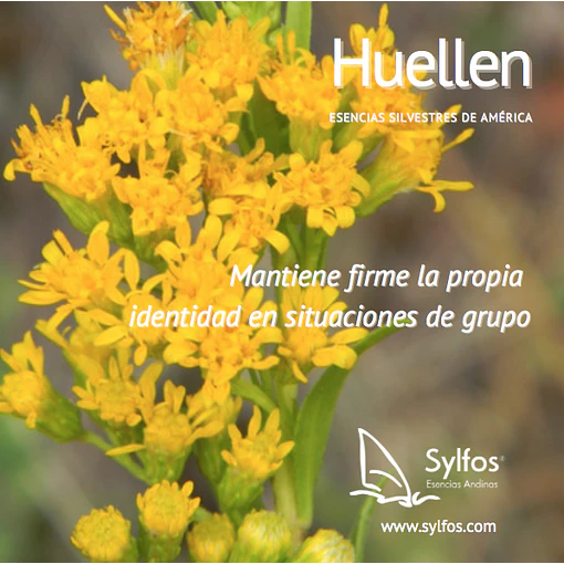 HUELLEN