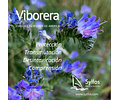 VIBORERA