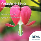 CORAZÓN DE MARÍA / Bleeding Heart 1