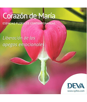 CORAZÓN DE MARÍA / Bleeding Heart