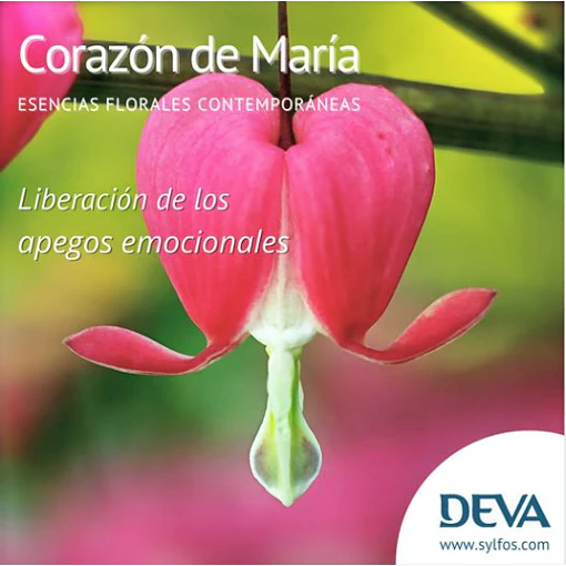 CORAZÓN DE MARÍA / Bleeding Heart
