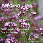 ORÉGANO 2