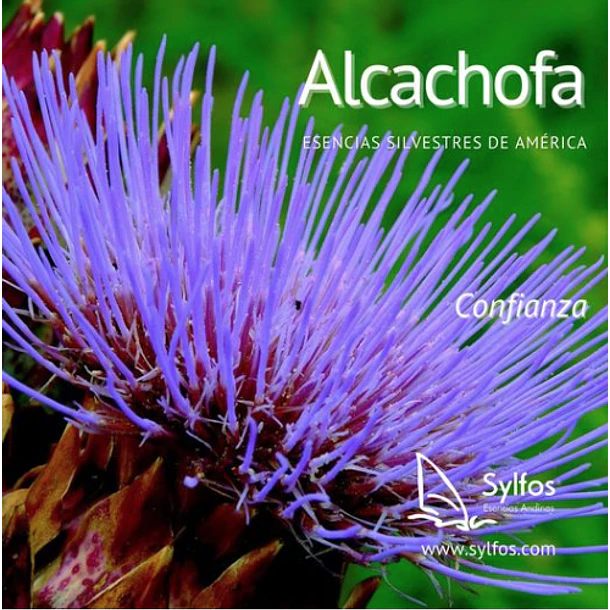 ALCACHOFA 1