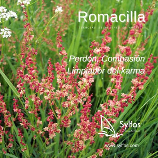 ROMACILLA