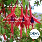​FUCSIA / Fuchsia 1